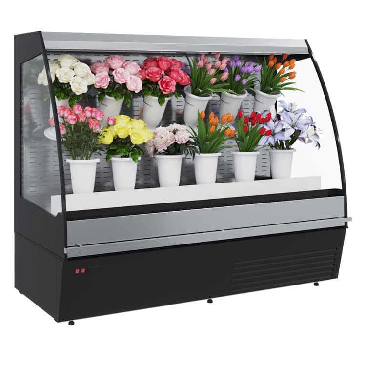 Витрина холодильная F16-08 VM 1,0-2 0020 FLORA (9005 )